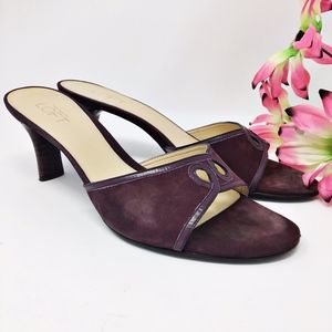 Ann Taylor Loft Alexis Plum Suede Mules